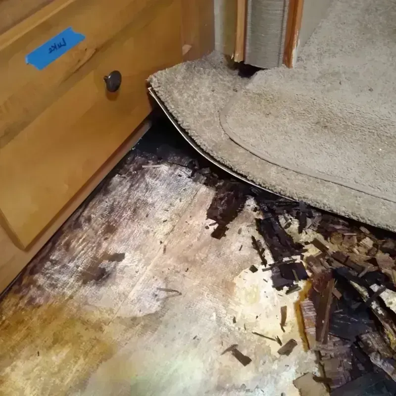 Wood Floor Water Damage in Boston, MA